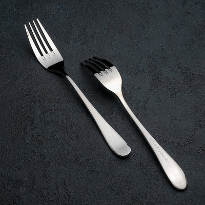 18/10 Stainless Steel Dinner Fork 8" | 20 Cm White Box Packing WL-999101 / A - NYStep