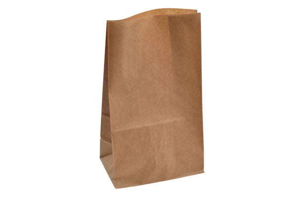 American kraft paper bag 22×37+14(2*250)