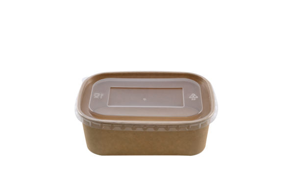 Kraft rectangular box 750ml+PPP lid (6*25)