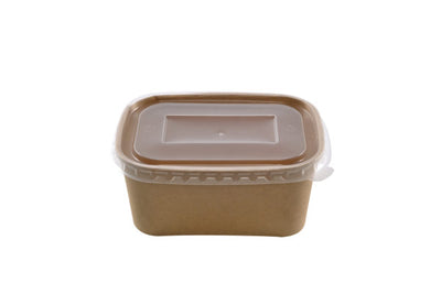 Rectangular kraft 1000ml+PPP lid (6*25)