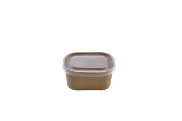 Rectangular kraft 250ml+PPP lid (20*25)