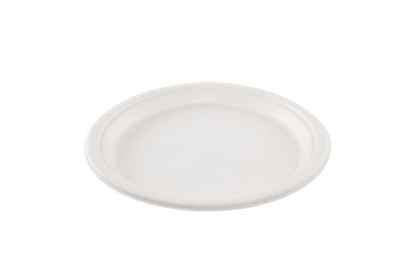 White sugar cane plate 260mm (12*10)