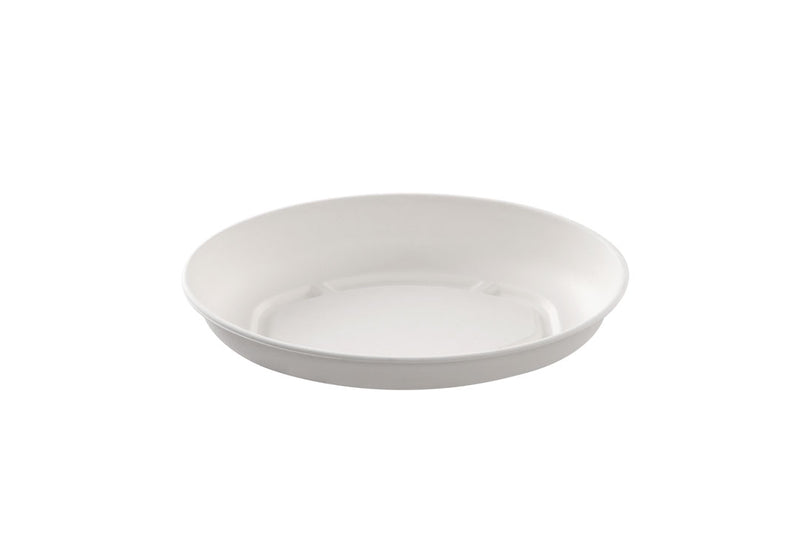 Oval white sugarcane bowl 500ml(6*50)